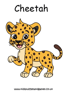 cheetah drawing for kids