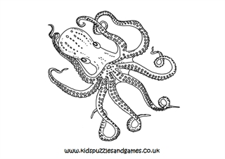 octopus coloring page