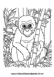 Chimpanzee Colouring Page - Kids Puzzles and Games
